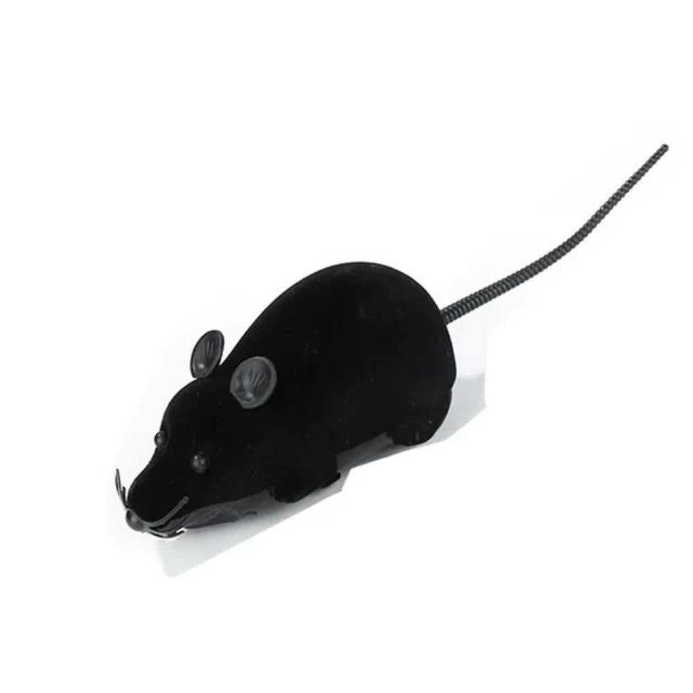 Ratón De Juguete A Control Remoto