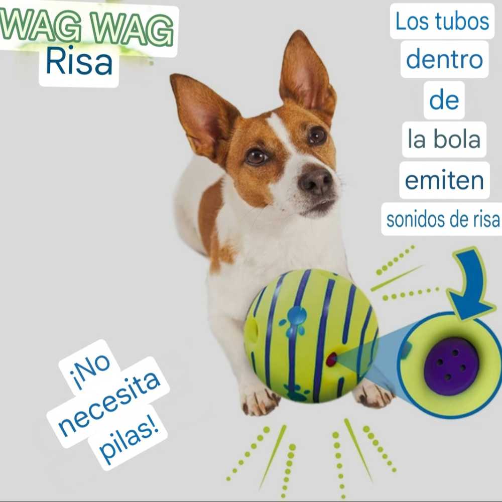 Bola Rodante Interactiva para Perros