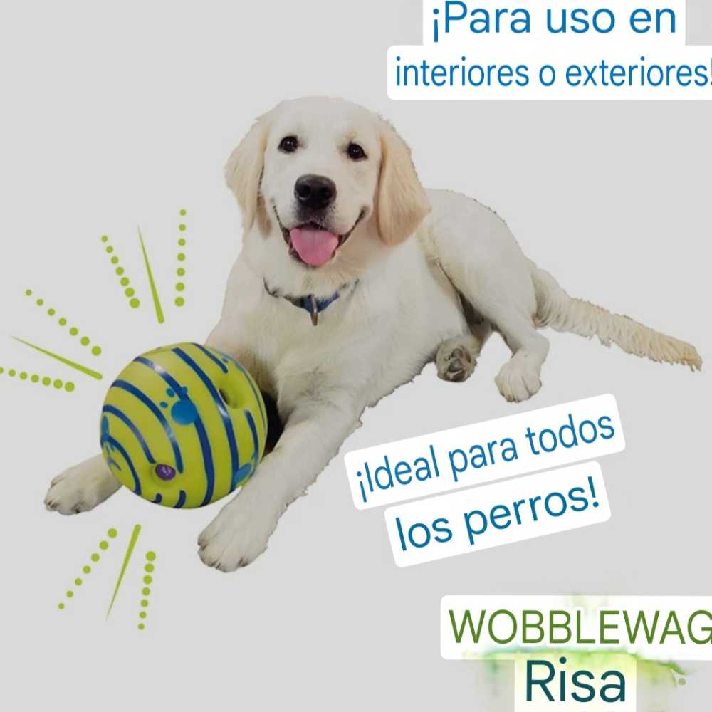 Bola Rodante Interactiva para Perros